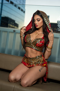 Royal Rani Fairy Set