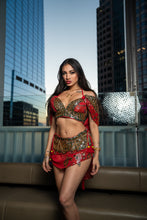 Load image into Gallery viewer, Royal Rani Fairy Set
