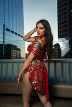 Load image into Gallery viewer, Royal Rani Fairy Set
