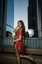 Load image into Gallery viewer, Royal Rani Fairy Set
