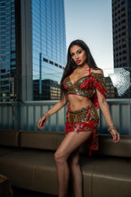 Load image into Gallery viewer, Royal Rani Fairy Set
