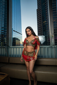 Royal Rani Fairy Set