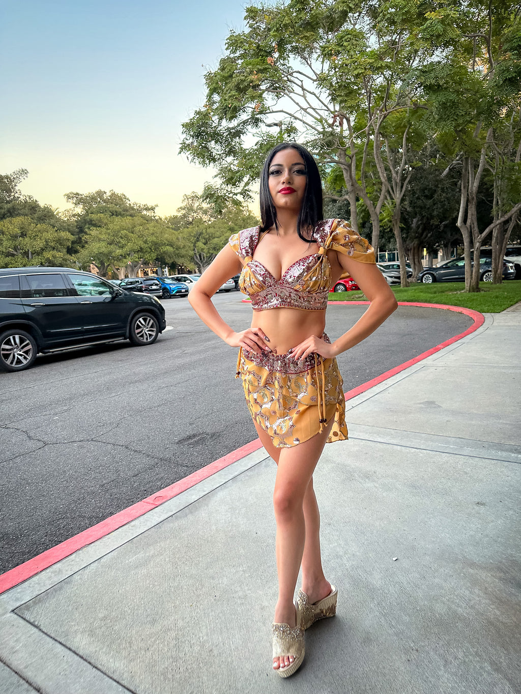 Desert Rose Fairy Set