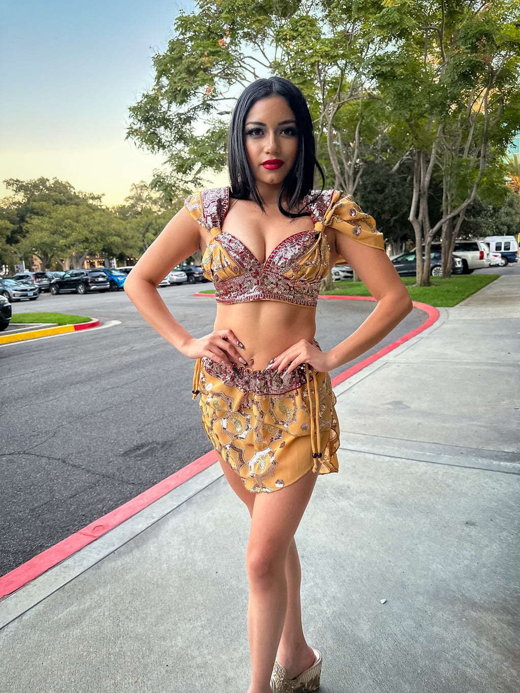 Desert Rose Fairy Set