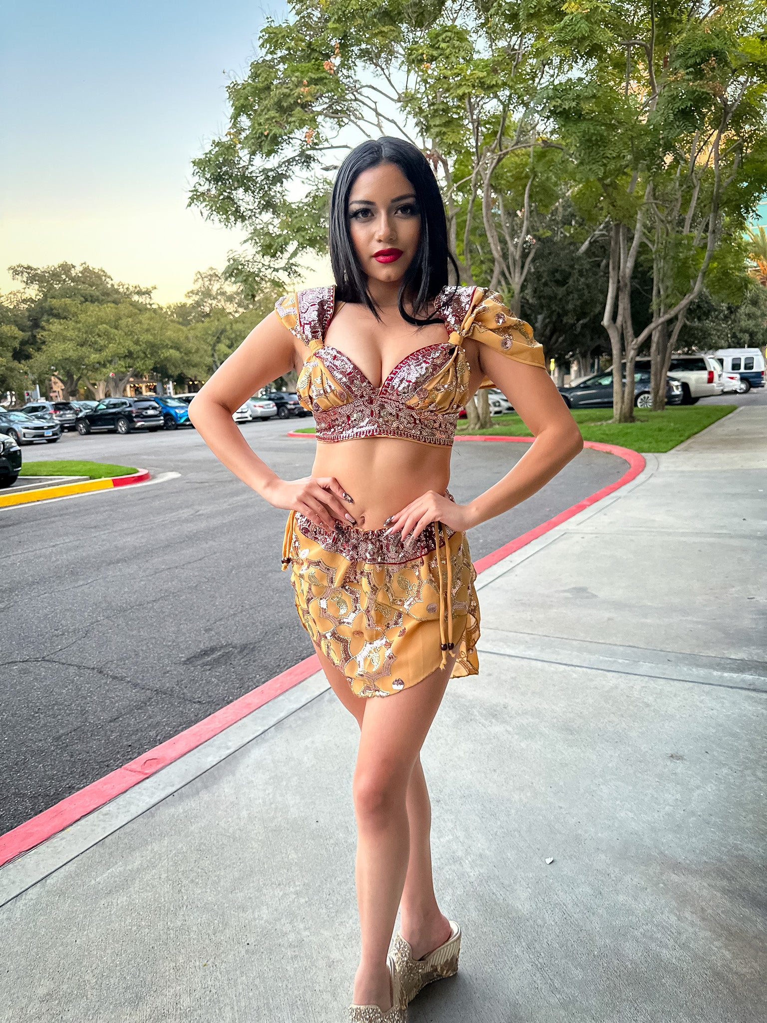 Desert Rose Fairy Set