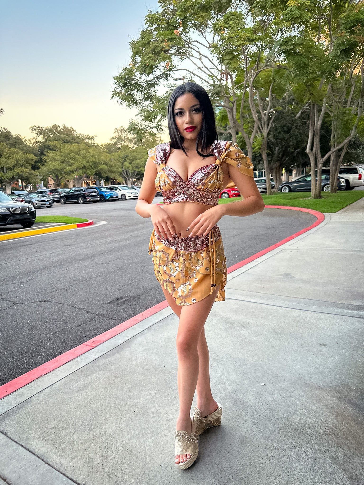 Desert Rose Fairy Set