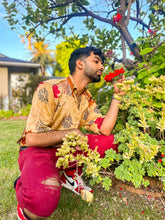Load image into Gallery viewer, Golden Roses Button Up Shirt
