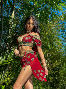 Royal Rani Fairy Set