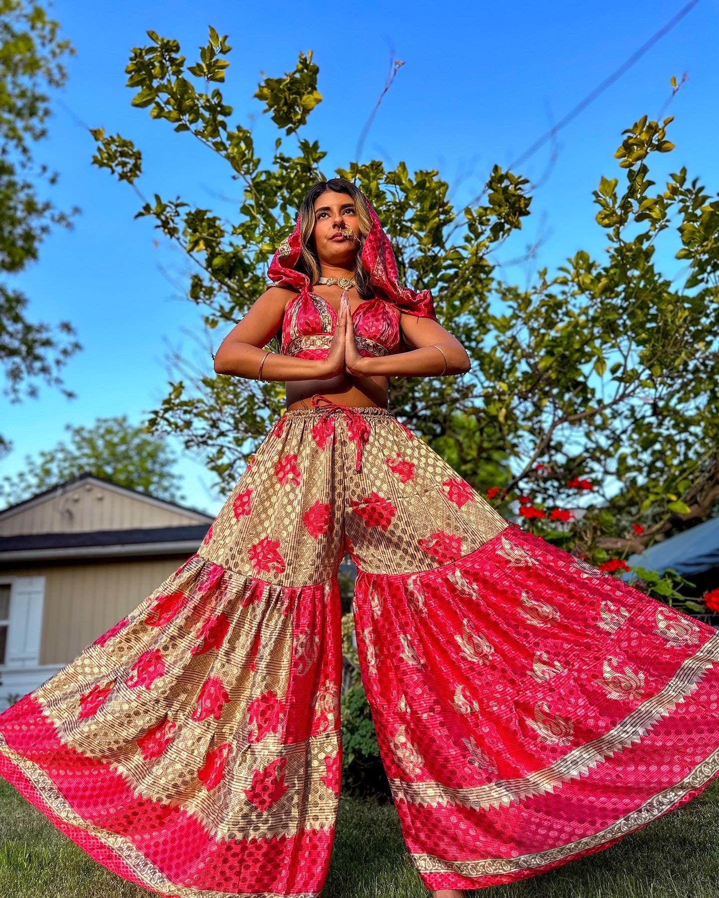 Shimmer Roses Sharara Pants Set