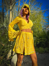 Load image into Gallery viewer, Sunflower Daisy Goddess Set
